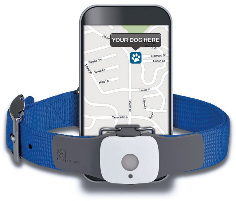 GPS Tracker For Dogs vs Microchip For Dogs Just For Your Dog