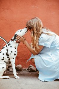 Kisses from a dog