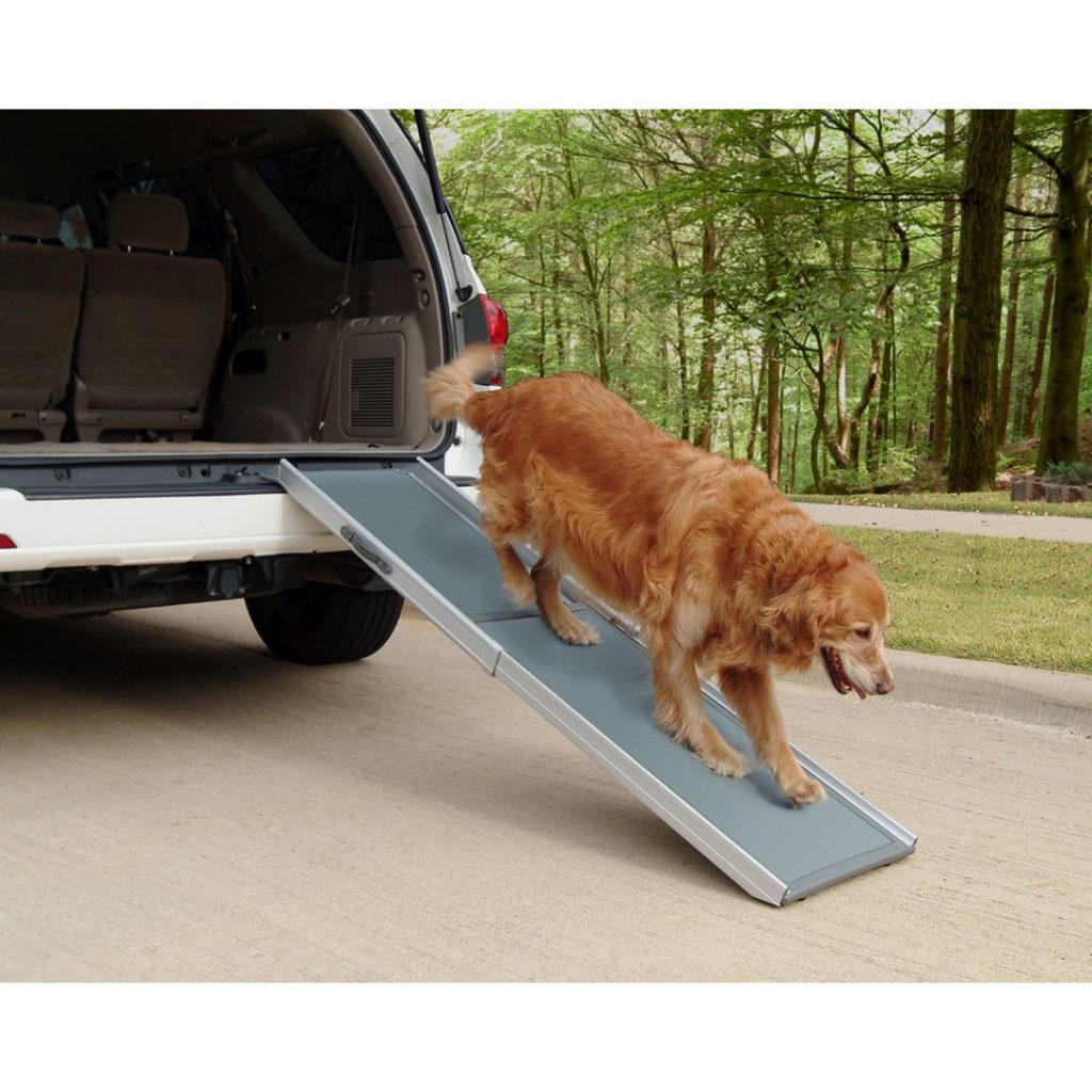 Dog ramp