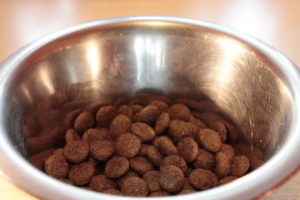 how to store dry dog food