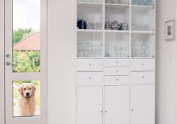 Wall mount dog door