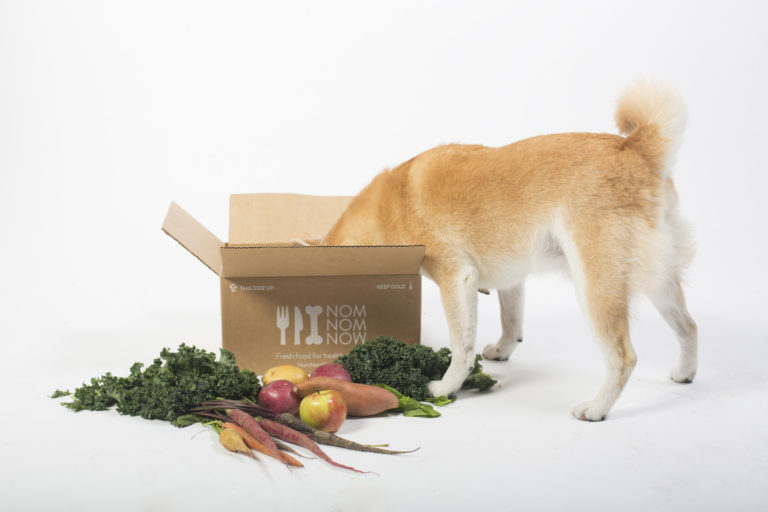 Best Fresh Dog Food Delivery ServiceMade With Human Grade Food Just