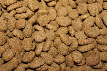 dry dog food vs fresh dog food