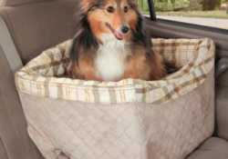 PetSafe Safety Seat For Dogs Review