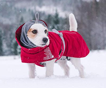 Waterproof winter dog coat