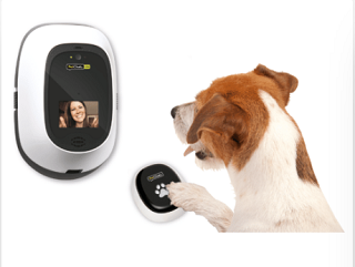 PetChatz Dog Video Chat