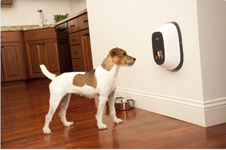 PetChatz Pet Camera